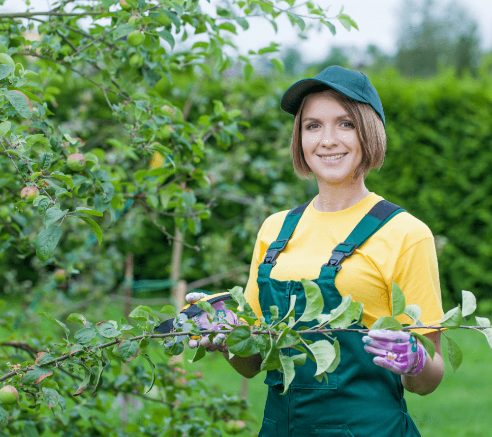 Gaspar Landscaping & Tree Service - Tree Service in Riverside